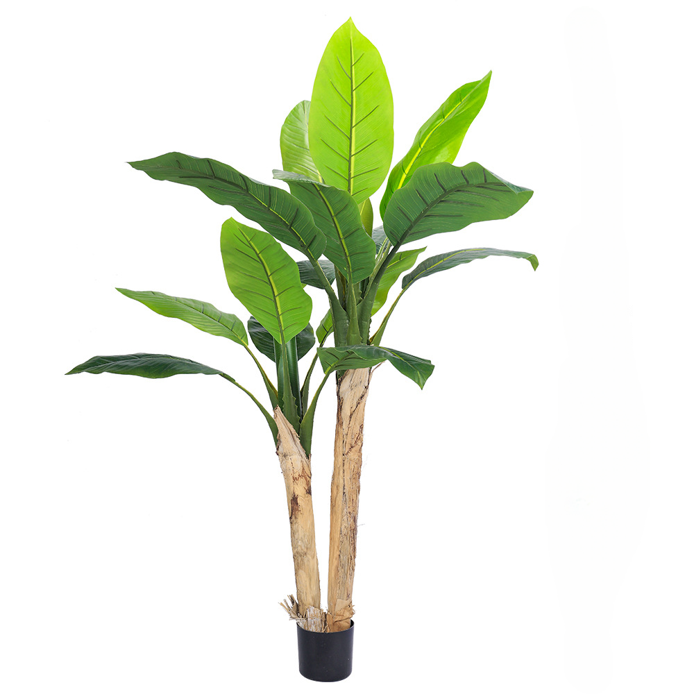 150cm Banana Plant - Haihong