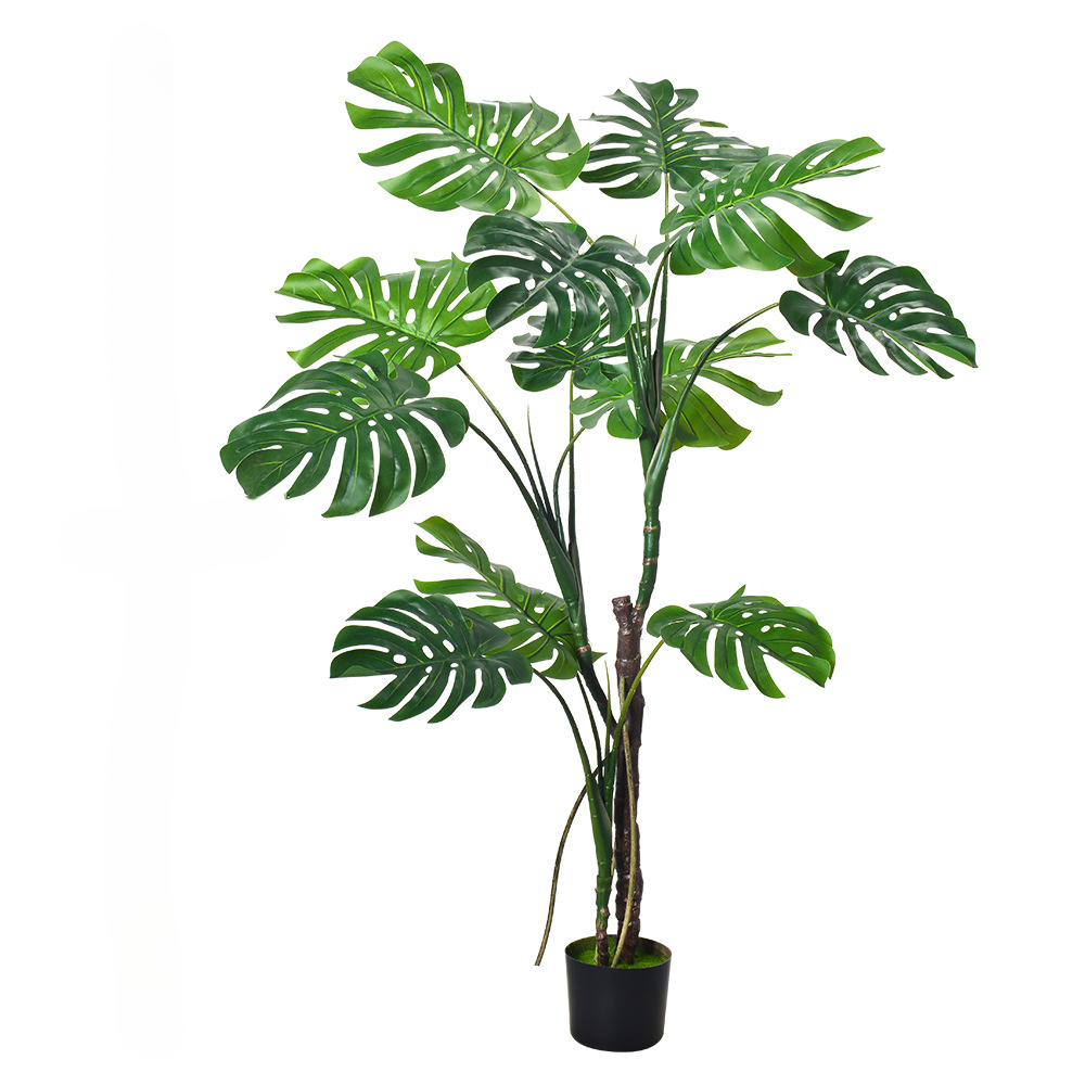 160cm H-style Monstera - Haihong