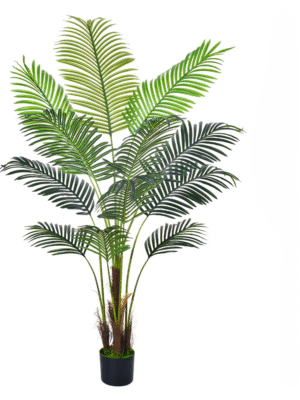 160cm H-style Palm with Brown Fibers - Haihong