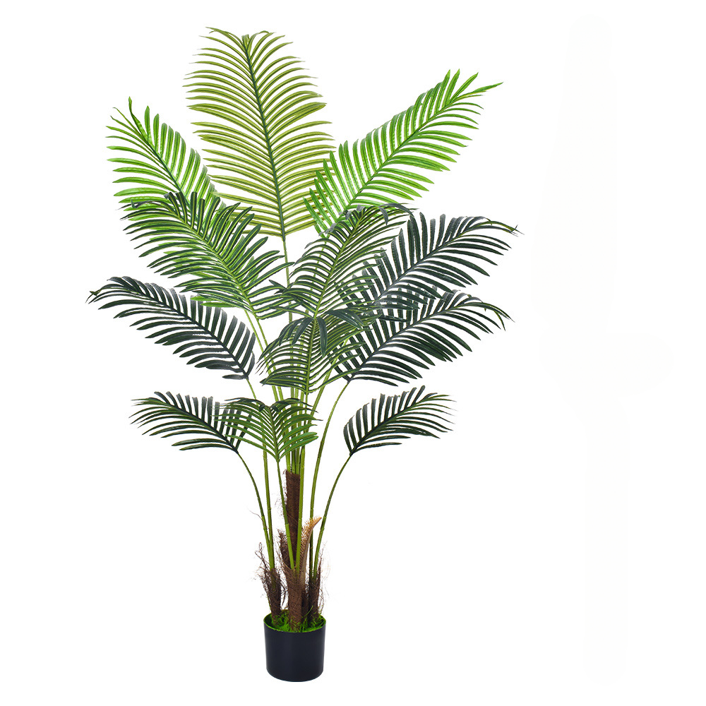 160cm H-style Palm with Brown Fibers - Haihong