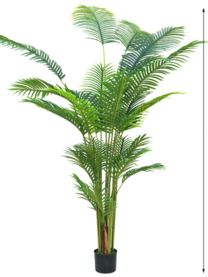 220cm A-style Palm - Haihong