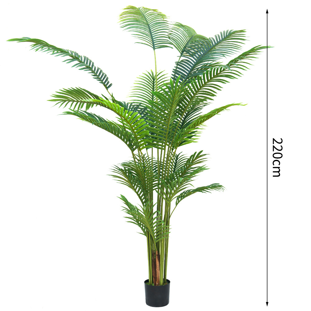 220cm A-style Palm - Haihong