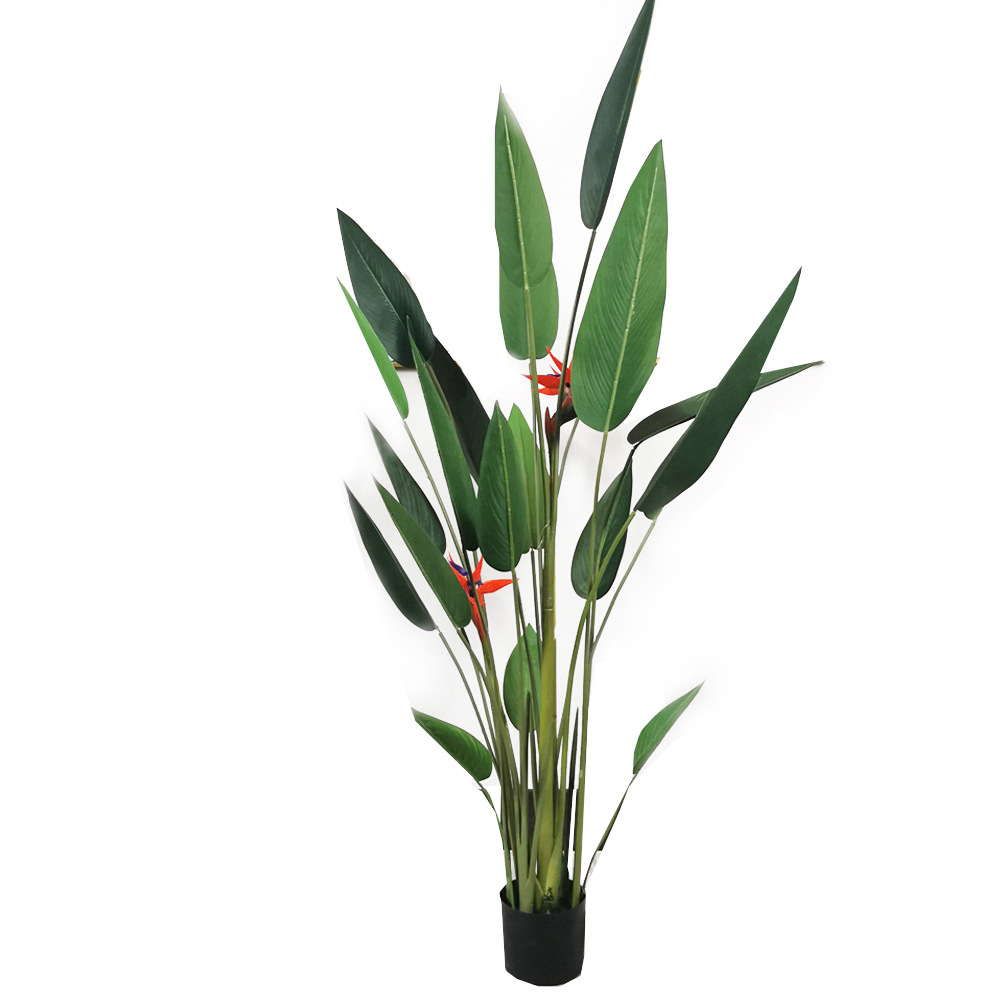Bird of Paradise - Hengxiang - Custom Size