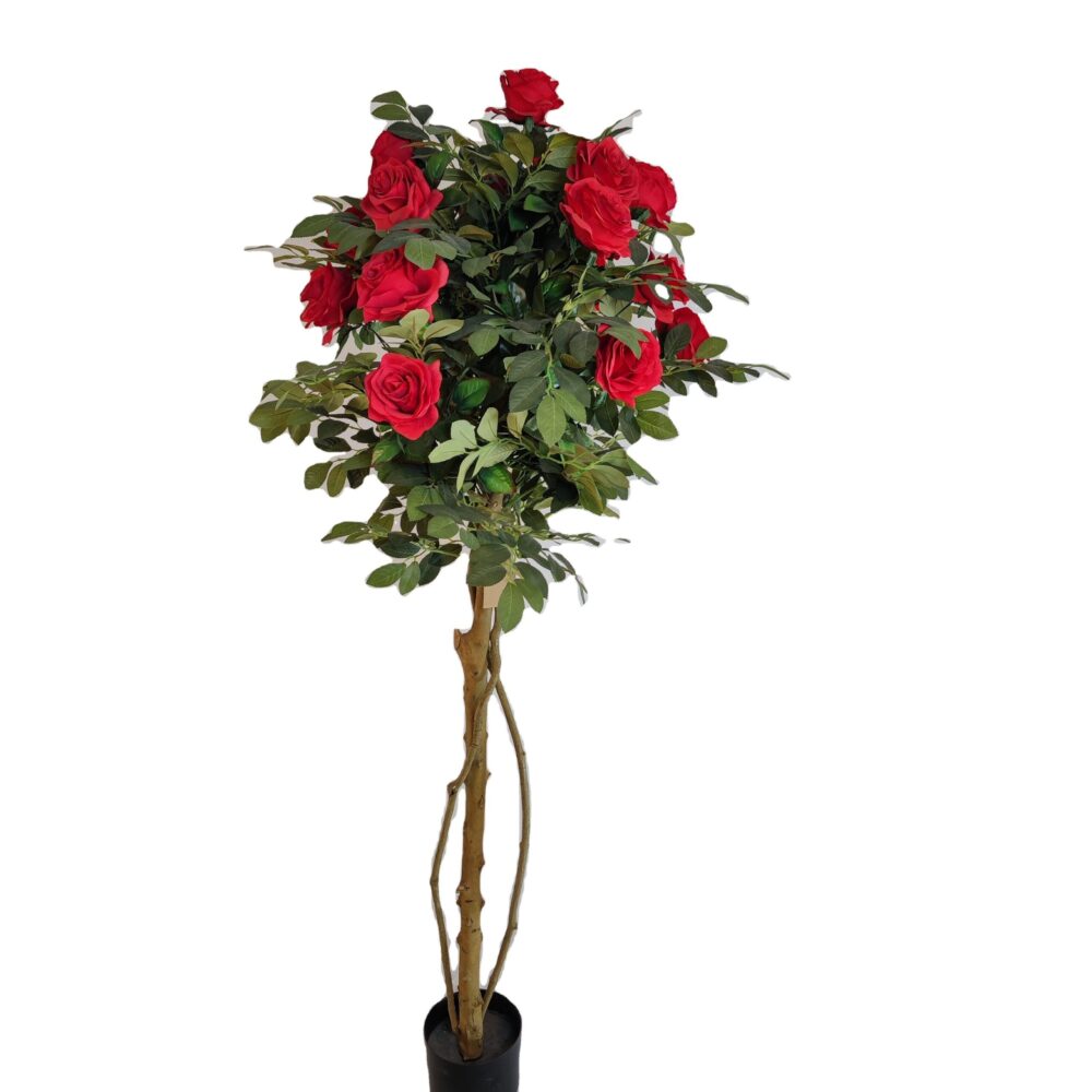 Rose Tree by Hengxiang