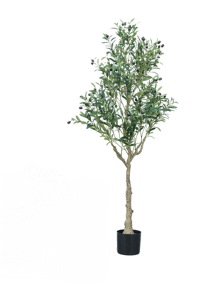 Artificial Olive Tree With Pot-150cm Real Trunk Olive Tree with Fruit